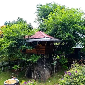 Hotel Treehouse Tabor Hills Vagamon